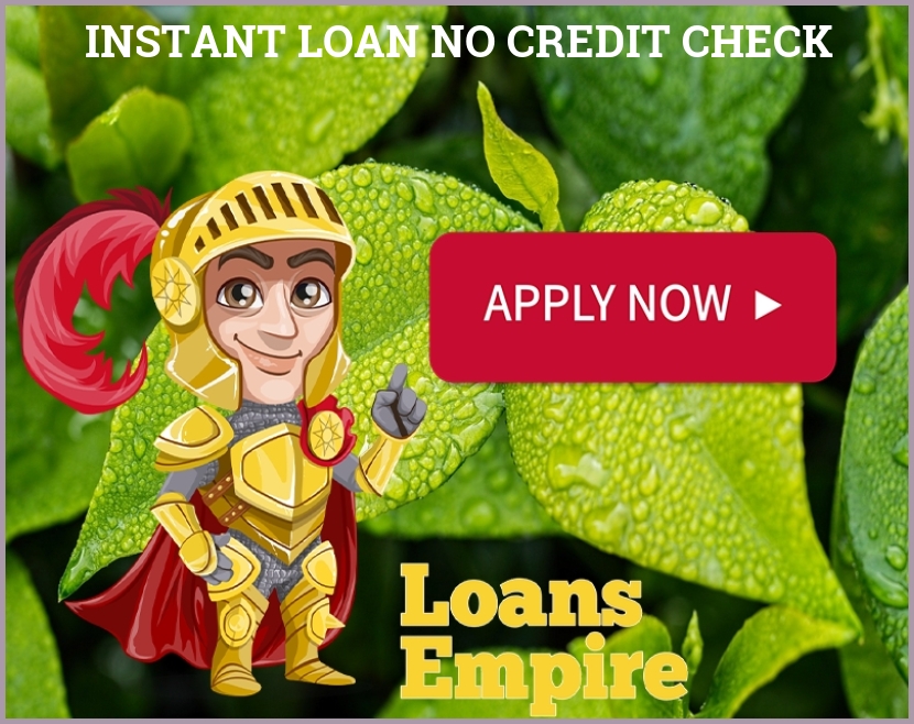 Instant Loan No Credit Check