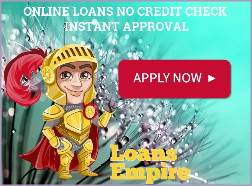 Online Loans No Credit Check Instant Approval